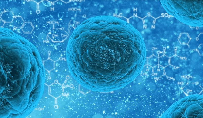 Reviews in Urology: The Effect of Local Antibiogram on Infection