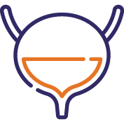 Bladder & Incontinence Issues